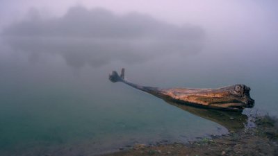 "Це мої діти, і всіх люблю". Прикарпатський фотомитець розповів про те, як прийшов до фотографії "Це мої діти, і всіх люблю". Прикарпатський фотомитець розповів про те, як прийшов до фотографії