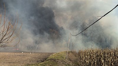 Чоловік отримав опіки: на Черкащині за добу сталися понад пів сотні пожеж сухостою