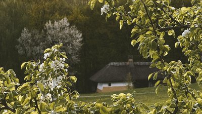 Національний музей народної архітектури та побуту України в Пирогові
