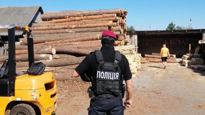 На Волині другу добу тривають обшуки: вилучили понад дві сотні кубів деревини