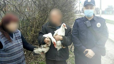 Під Харковом поліцейські упіймали ймовірного викрадача качок. Він перепросив