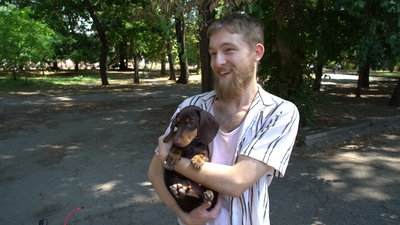 Допомога тваринам у спеку: поради кропивницької ветеринарки Допомога тваринам у спеку: поради кропивницької ветеринарки