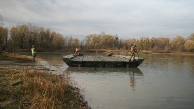 Інженерні війська Інженерні війська