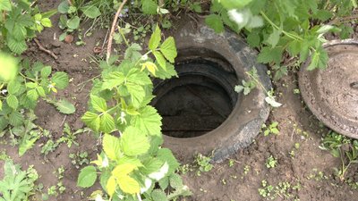 Фекальне розслідування Фекальне розслідування