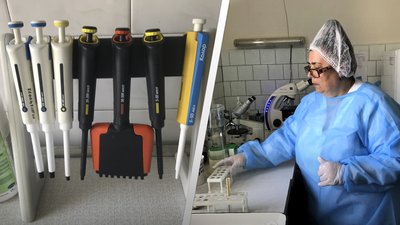 У Житомирі розпочався сезон активності кліщів
