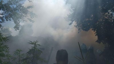 Гасили пожежу - знайшли коноплі: у Херсоні чоловік вирощував наркорослини у власному дворі