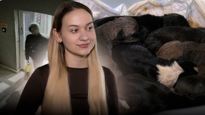 чернігівка прихистила десятьох цуценят, яких підкинули у ліфт багатоповерхівки