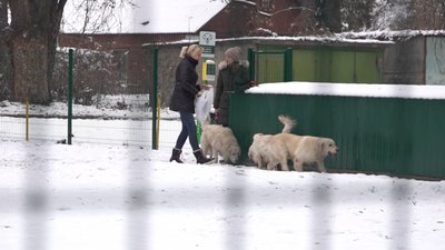 У Черкасах відремонтували майданчик для дресирування собак У Черкасах відремонтували майданчик для дресирування собак