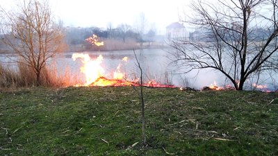 За добу на Дніпропетровщині сталося майже пів сотні пожеж в екосистемах, згоріло 46 гектарів