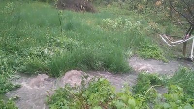 В Житомирі вода з каналізаційного люка підтоплює двір — комунальники пояснили причину В Житомирі вода з каналізаційного люка підтоплює двір — комунальники пояснили причину