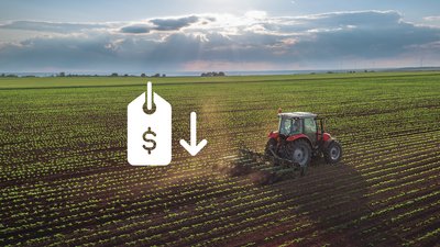 Купити землю на Чернігівщині: у серпні 2026 р. знизилася ціна сільськогосподарської землі