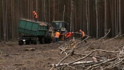 Котельні працюють, дровами забезпечені: у волинській громаді, що межує з Білоруссю, готуються до зими Котельні працюють, дровами забезпечені: у волинській громаді, що межує з Білоруссю, готуються до зими