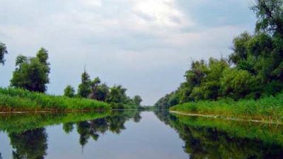 Заповідники Заповідники