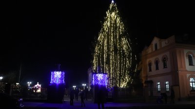Ялинка в Олександрії Ялинка в Олександрії
