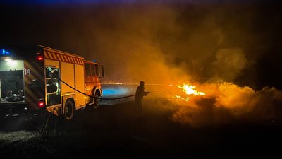 "Доводиться буквально "ловити" вогонь": на Миколаївщині протягом доби вигоріло 55 гектарів територій "Доводиться буквально "ловити" вогонь": на Миколаївщині протягом доби вигоріло 55 гектарів територій