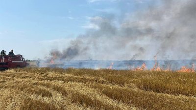 На Одещині горіло 2 га пшеничного поля: поліція розслідує підпал