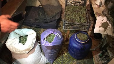15 кілограмів марихуани вилучили правоохоронці в закарпатця, причетного до збуту наркотиків