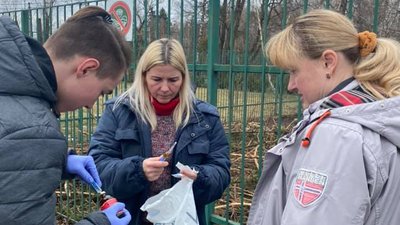 Стоматолог для альпаки: Луцький зоопарк відвідали ветеринари із Києва Стоматолог для альпаки: Луцький зоопарк відвідали ветеринари із Києва