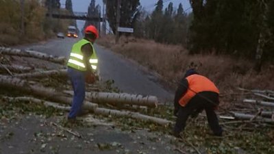 Ремонтники КП "Електроавтотранс" в Сумах 7 годин долали наслідки нічного буревію Ремонтники КП "Електроавтотранс" в Сумах 7 годин долали наслідки нічного буревію