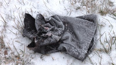 Збив жінку на смерть і зник з місця ДТП: подробиці аварії поблизу Куликівки Збив жінку на смерть і зник з місця ДТП: подробиці аварії поблизу Куликівки