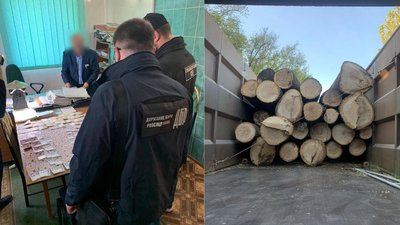 На Одещині судитимуть лісничого, який незаконно продавав деревину – прокуратура
