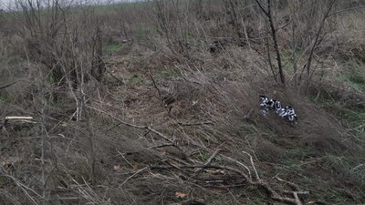 На Херсонщині син забив батька до смерті (ФОТО) На Херсонщині син забив батька до смерті (ФОТО)