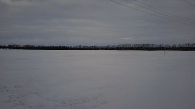 Перезимівля озимих на Сумщині: яка життєздатність посівів пшениці, жита та ячменю Перезимівля озимих на Сумщині: яка життєздатність посівів пшениці, жита та ячменю