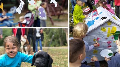 У Чернівцях на артпікніку з тваринами безкоштовно чіпуватимуть домашніх улюбленців