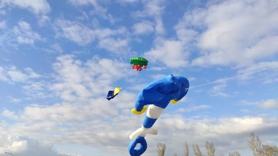 На Дніпропетровщині розпочалися змагання з кайт-флаїнґу На Дніпропетровщині розпочалися змагання з кайт-флаїнґу