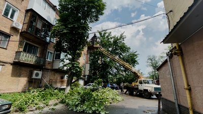 Повалені близько 40 дерев та знеструмлені мікрорайони: у Прилуках ліквідовують наслідки буревію Повалені близько 40 дерев та знеструмлені мікрорайони: у Прилуках ліквідовують наслідки буревію
