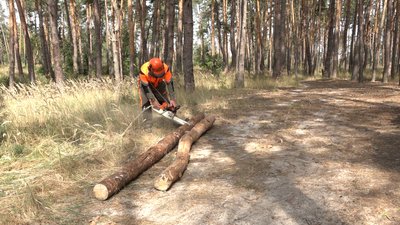 У Черкасах зросли ціна на дрова У Черкасах зросли ціна на дрова