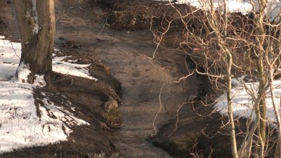 На Черкащині шукають фахівців, які візьмуться за відродження козацького джерела На Черкащині шукають фахівців, які візьмуться за відродження козацького джерела