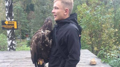 Без права розправити крила. На Прикарпатті для фото використовують червонокнижних птахів Без права розправити крила. На Прикарпатті для фото використовують червонокнижних птахів