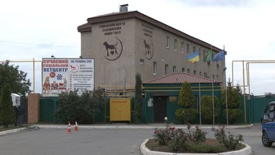 Реконструкція у міському притулку для тварин: що зроблять та скільки коштуватиме Реконструкція у міському притулку для тварин: що зроблять та скільки коштуватиме