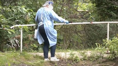 Міські озера Львова обстежують та обробляють проти комарів Міські озера Львова обстежують та обробляють проти комарів