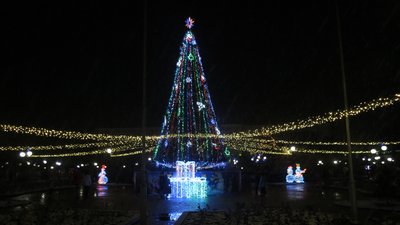 Як виглядають головні ялинки Запоріжжя та області Як виглядають головні ялинки Запоріжжя та області