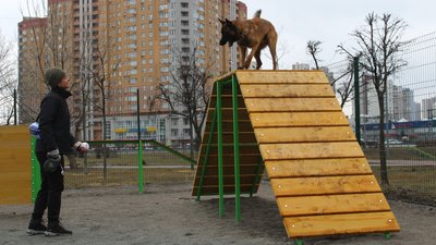 Кияни можуть обрати на голосуванні ділянку для вигулу собак у Куренівському парку