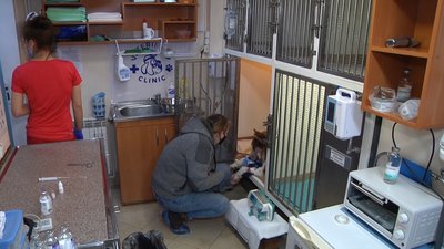 Волонтерка Олена Корєнь разом із Марсом у ветеринарній клініці