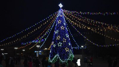 Як виглядають головні ялинки Запоріжжя та області Як виглядають головні ялинки Запоріжжя та області