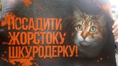 У Херсоні відбувся пікет за права тварин