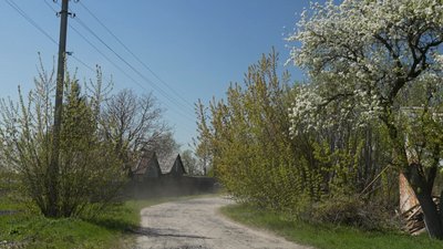 Село, яке колись було засекреченим Гнильче: тиша серед лісів і ставків Рівненщини Село, яке колись було засекреченим Гнильче: тиша серед лісів і ставків Рівненщини