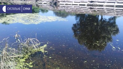 забруднення річок забруднення річок