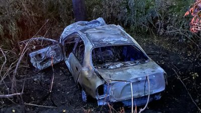 Автівка зʼїхала в кювет та загорілася: на Вінниччині у ДТП загинув чоловік