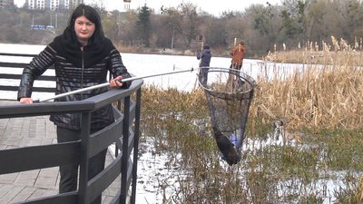 З Південного Бугу збирають сміття, аби облаштувати водний сад із живим гербом Вінниці