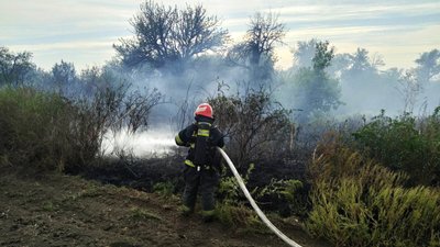 Біля річки вигоріло два гектари очерету: на Кіровоградщині за добу погасили 18 пожеж на природі Біля річки вигоріло два гектари очерету: на Кіровоградщині за добу погасили 18 пожеж на природі