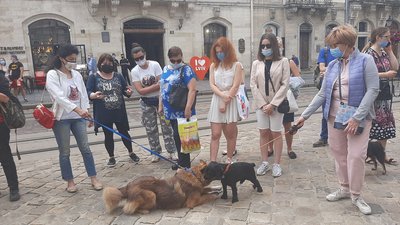 Активісти у Львові вимагали відкрити притулок для тварин