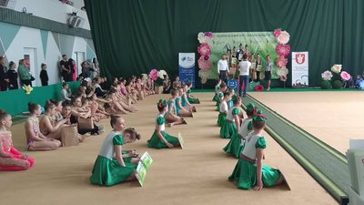 У Луцьку на змаганнях з гімнастики зібрали 20 тисяч гривень для онкохворих дітей