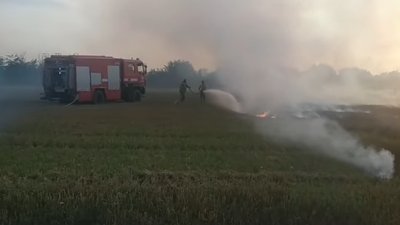 На Херсонщині горіло ячмінне поле. Пожежу загасили за годину