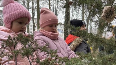 Смаколики із зерна: тернопільські школярі прикрашають дерева Смаколики із зерна: тернопільські школярі прикрашають дерева