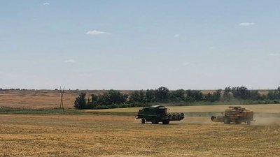 Окупанти примушують маріупольських фермерів передати право власності на земельні ділянки та майно